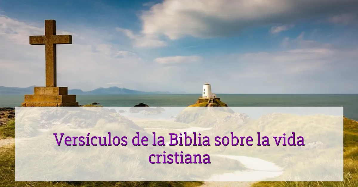 Versículos de la Biblia sobre la vida cristiana