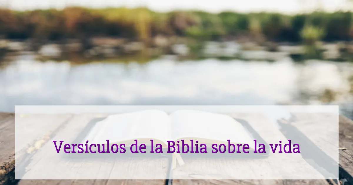 Versículos de la Biblia sobre la vida