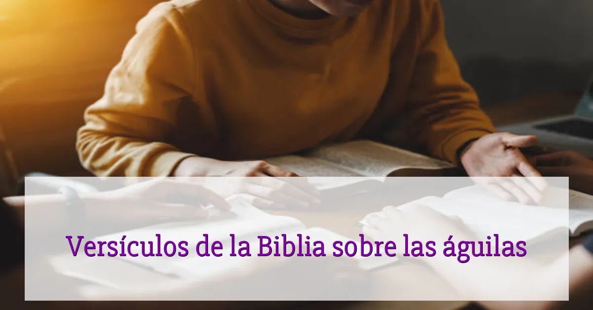 Versículos de la Biblia sobre las águilas