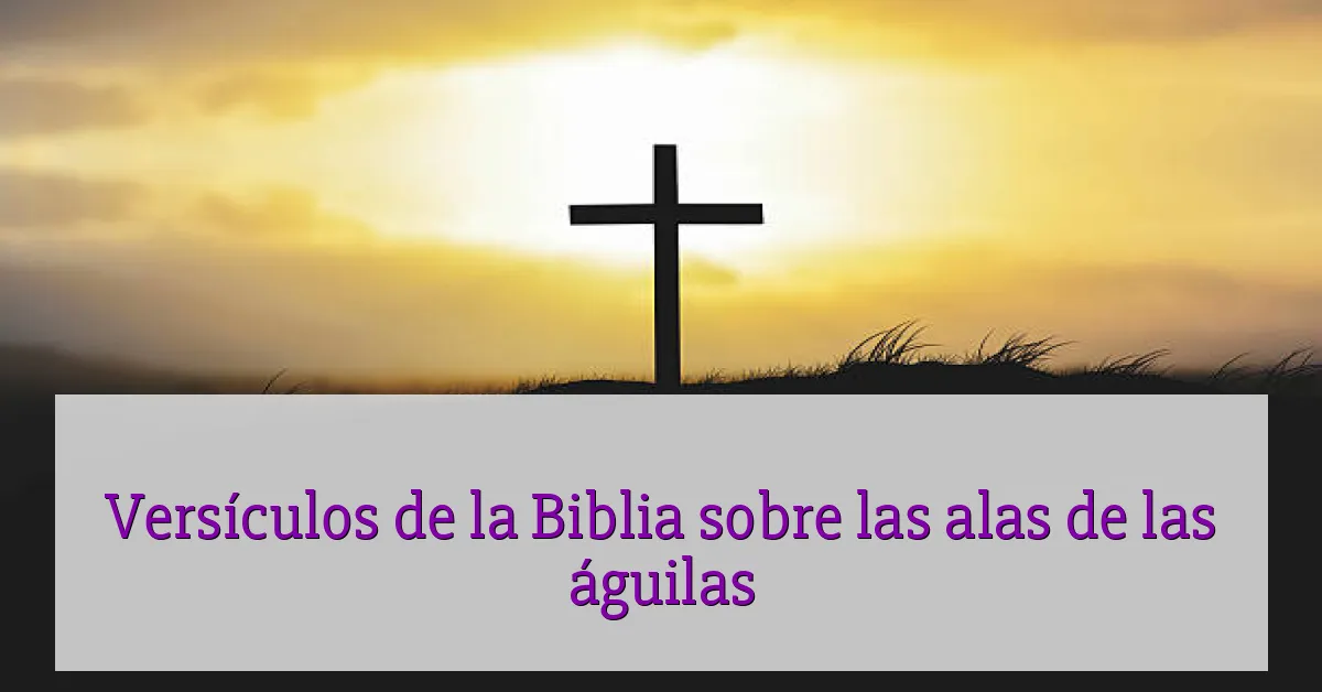 Versículos de la Biblia sobre las alas de las águilas