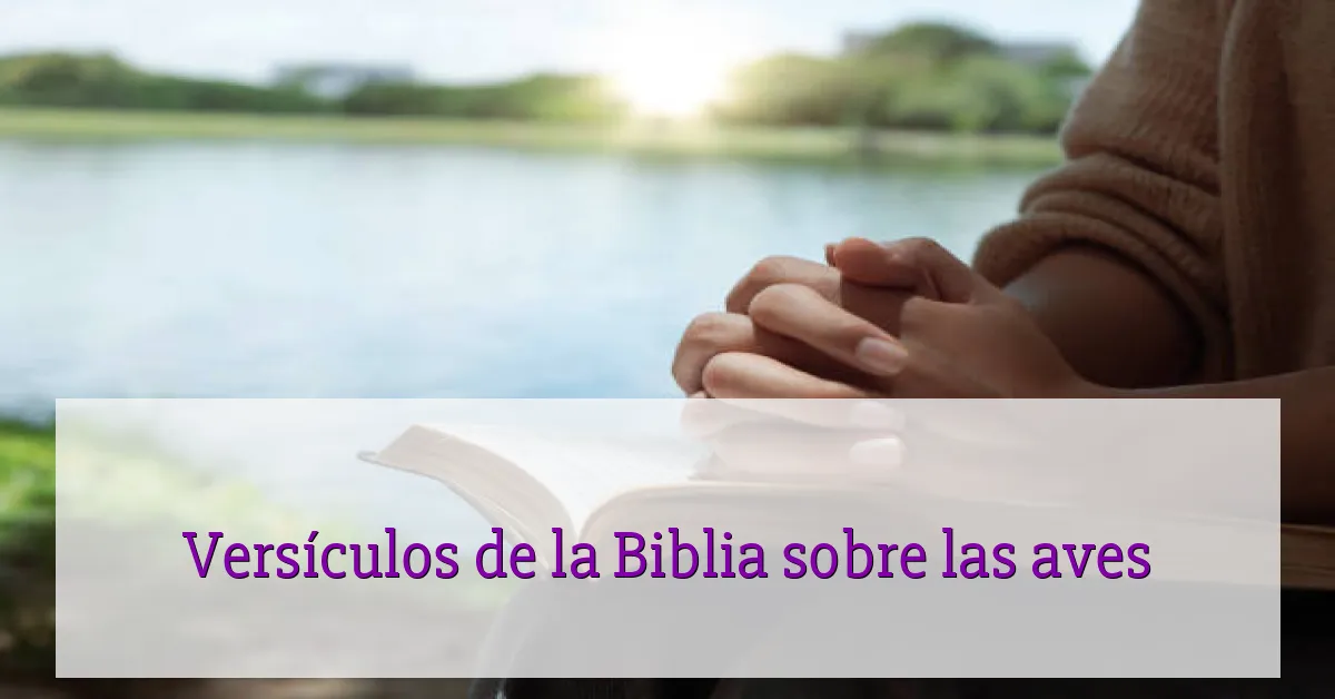 Versículos de la Biblia sobre las aves