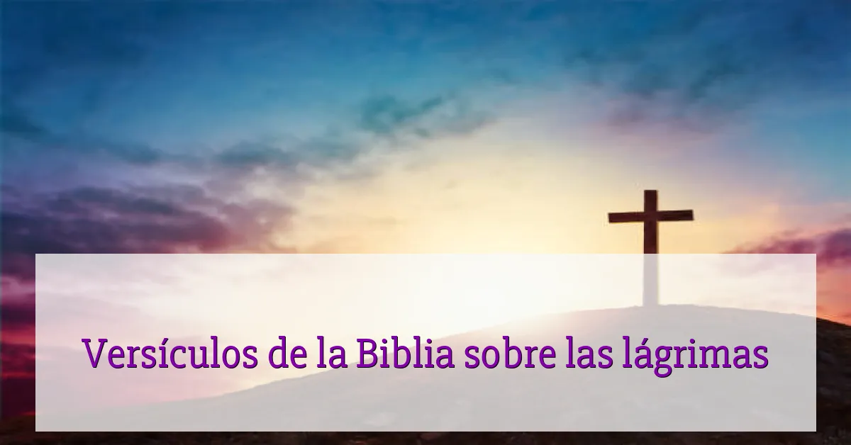 Versículos de la Biblia sobre las lágrimas