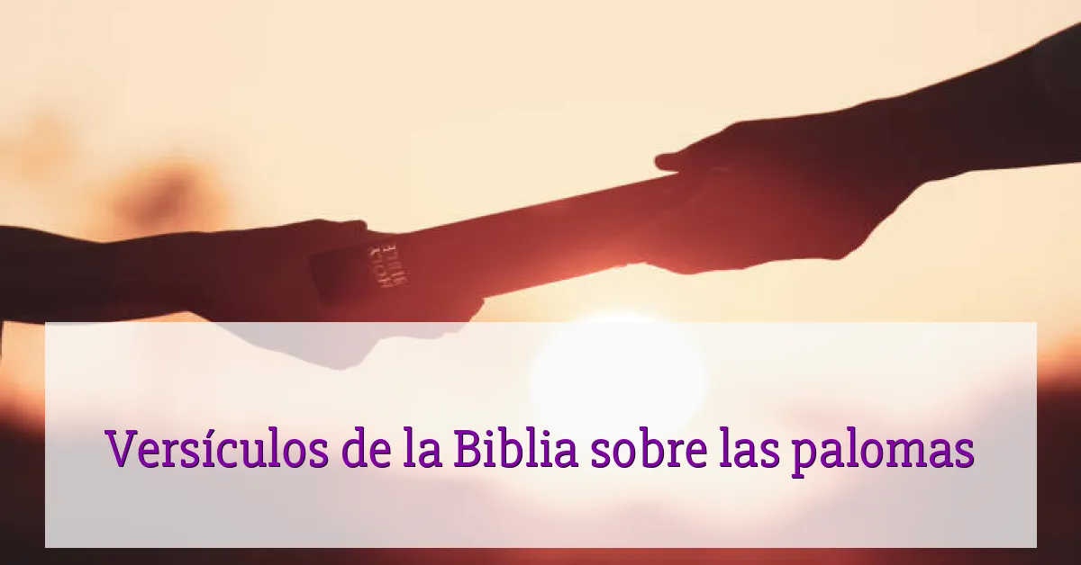 Versículos de la Biblia sobre las palomas