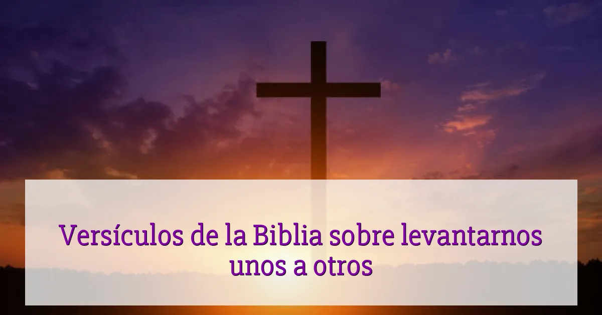 Versículos de la Biblia sobre levantarnos unos a otros