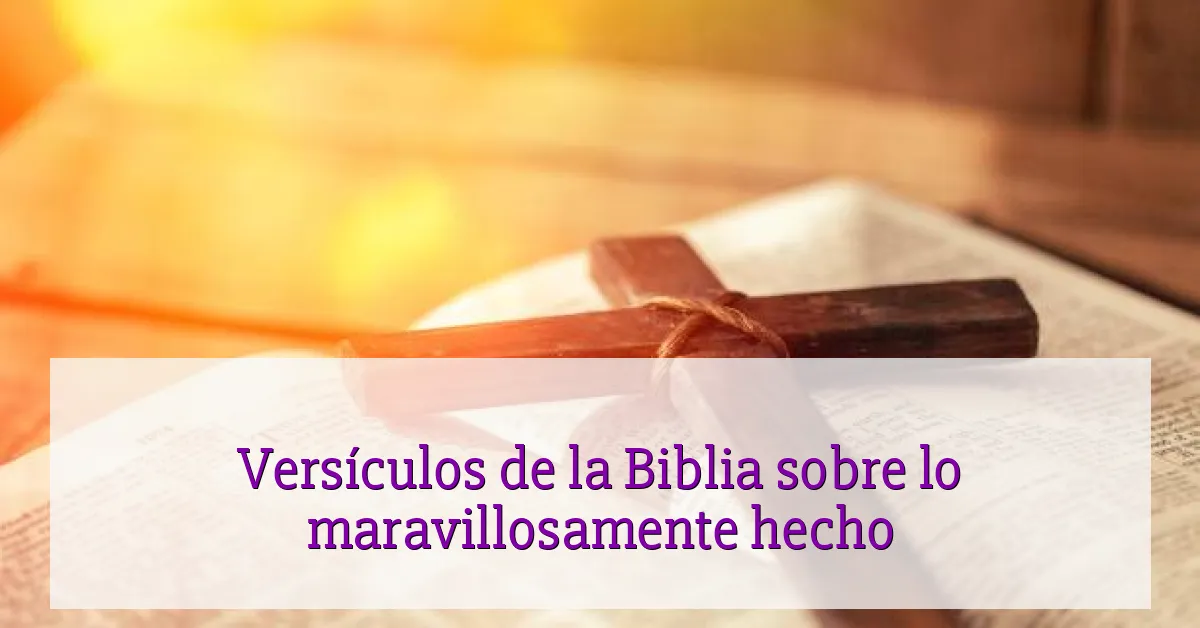 Versículos de la Biblia sobre lo maravillosamente hecho