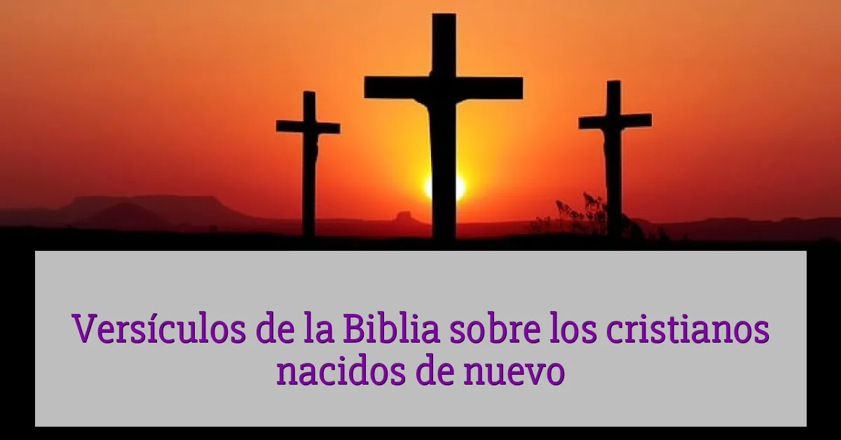 Versículos de la Biblia sobre los cristianos nacidos de nuevo