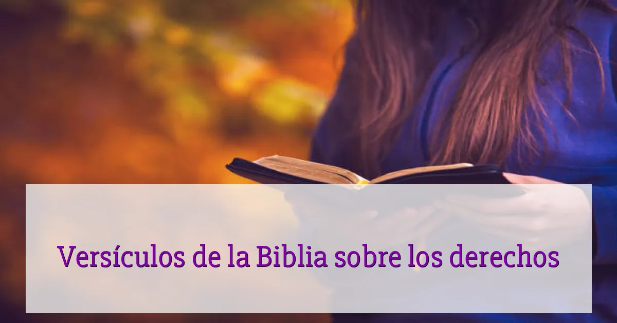 Versículos de la Biblia sobre los derechos