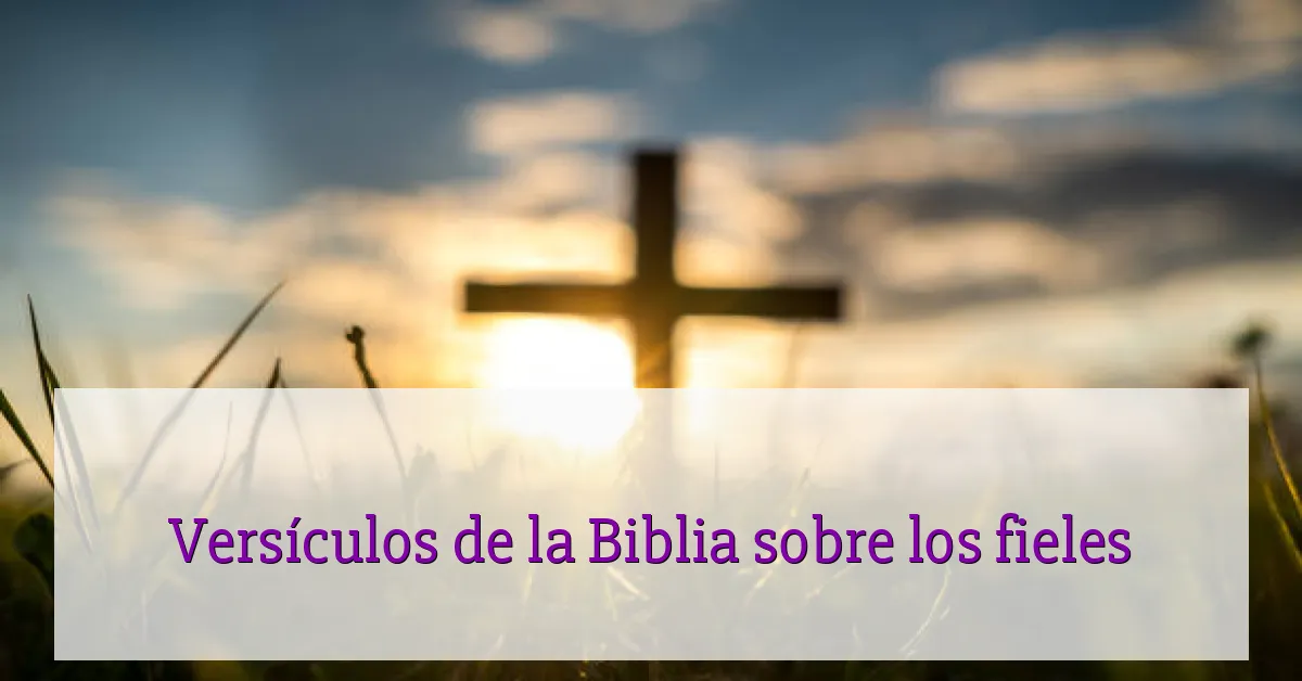 Versículos de la Biblia sobre los fieles