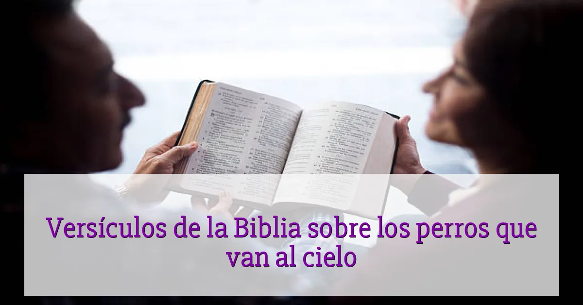 Versículos de la Biblia sobre los perros que van al cielo