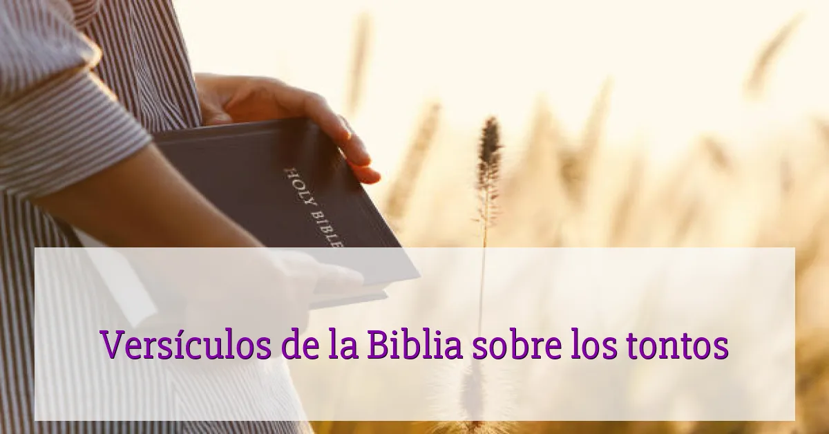 Versículos de la Biblia sobre los tontos