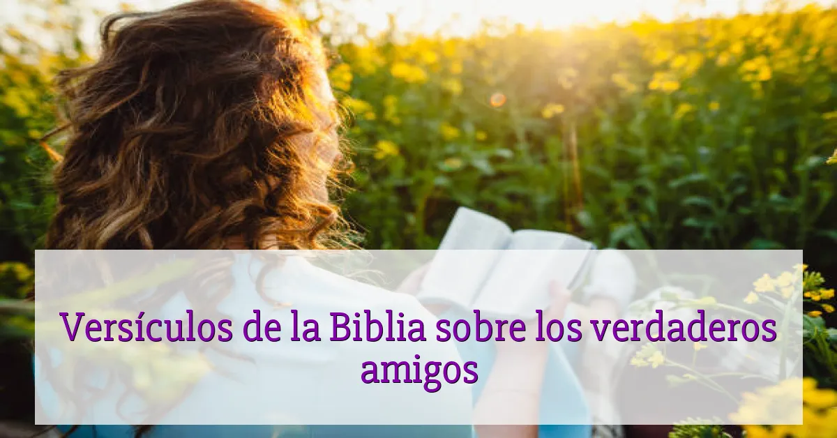 Versículos de la Biblia sobre los verdaderos amigos