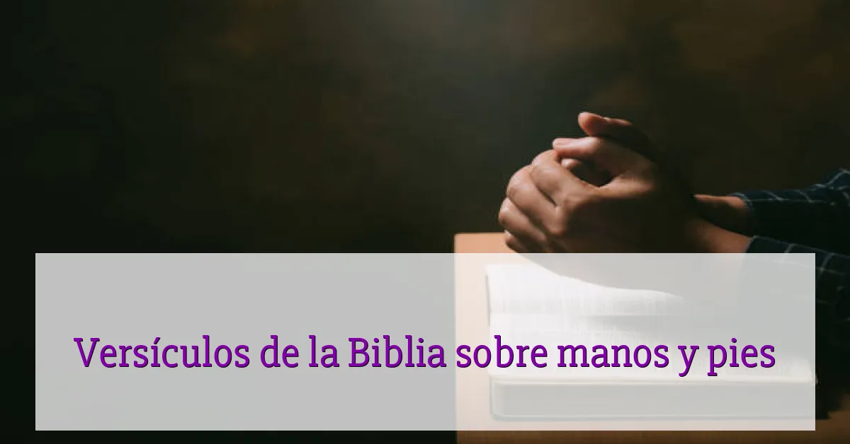 Versículos de la Biblia sobre manos y pies