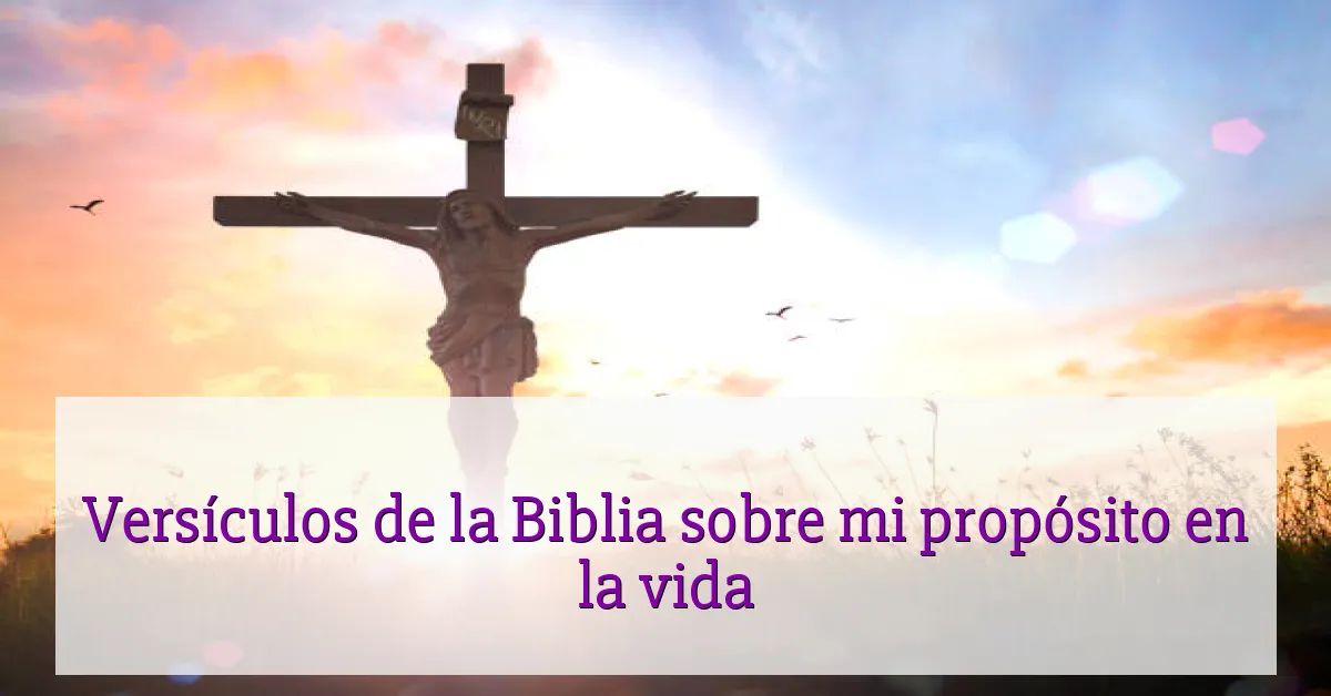 Versículos de la Biblia sobre mi propósito en la vida