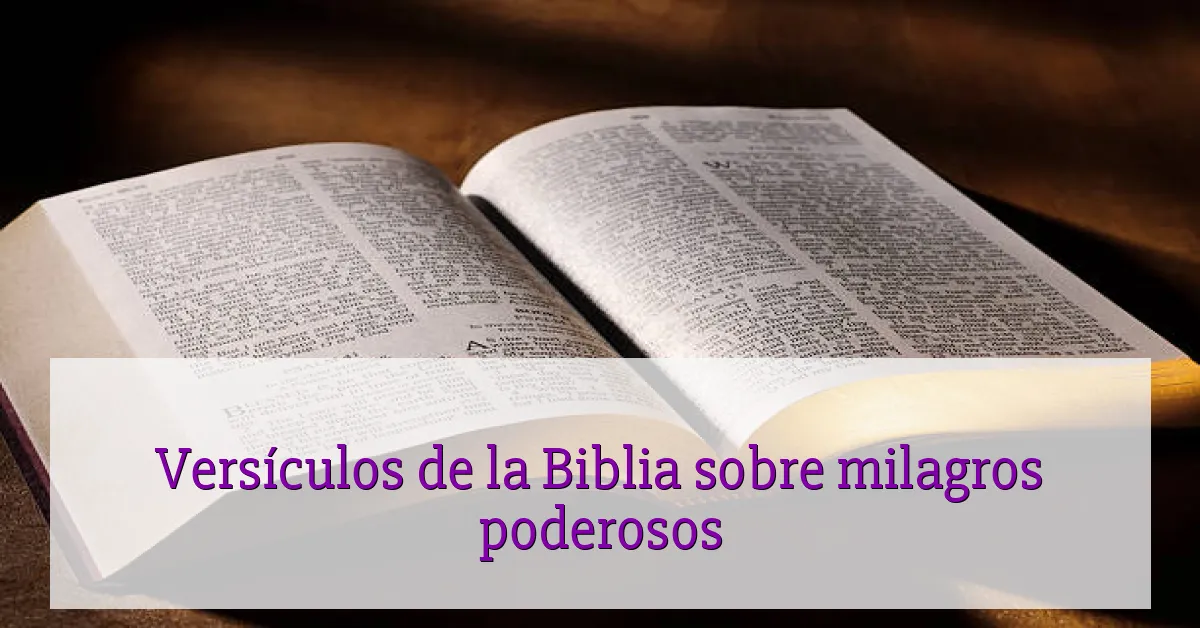Versículos de la Biblia sobre milagros poderosos