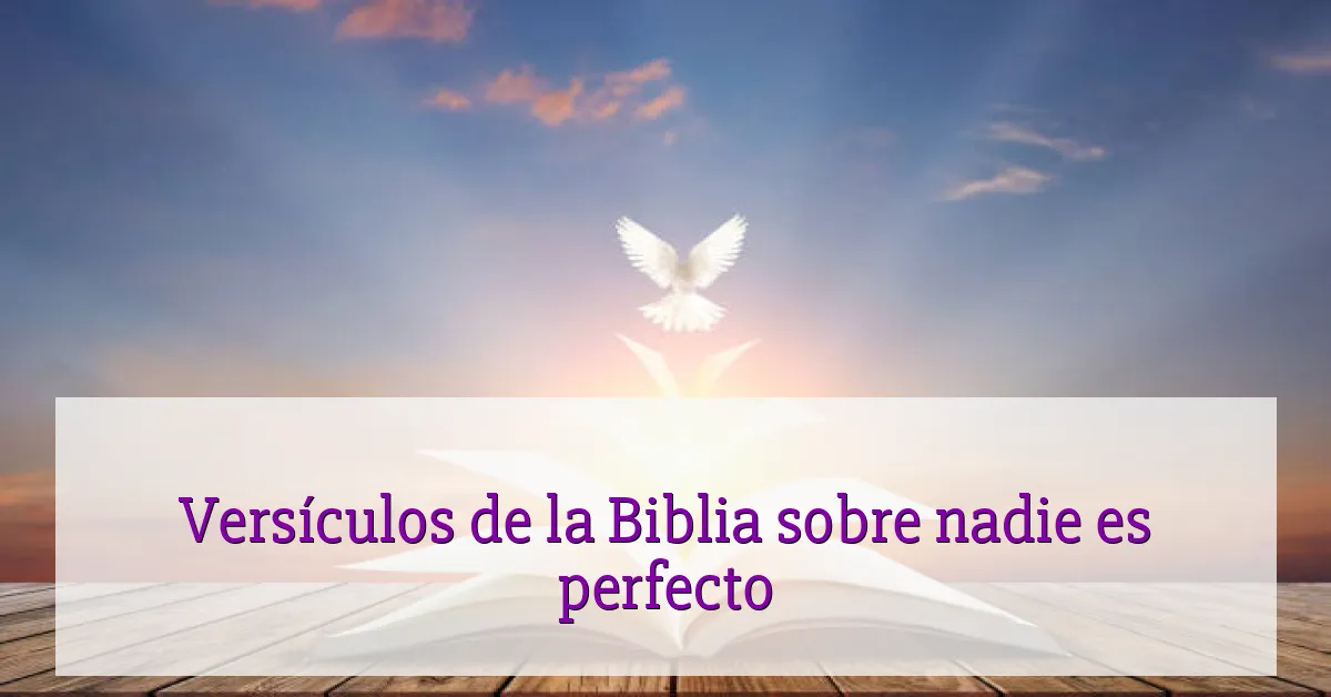 Versículos de la Biblia sobre nadie es perfecto