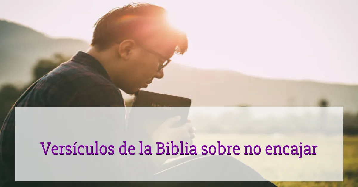 Versículos de la Biblia sobre no encajar