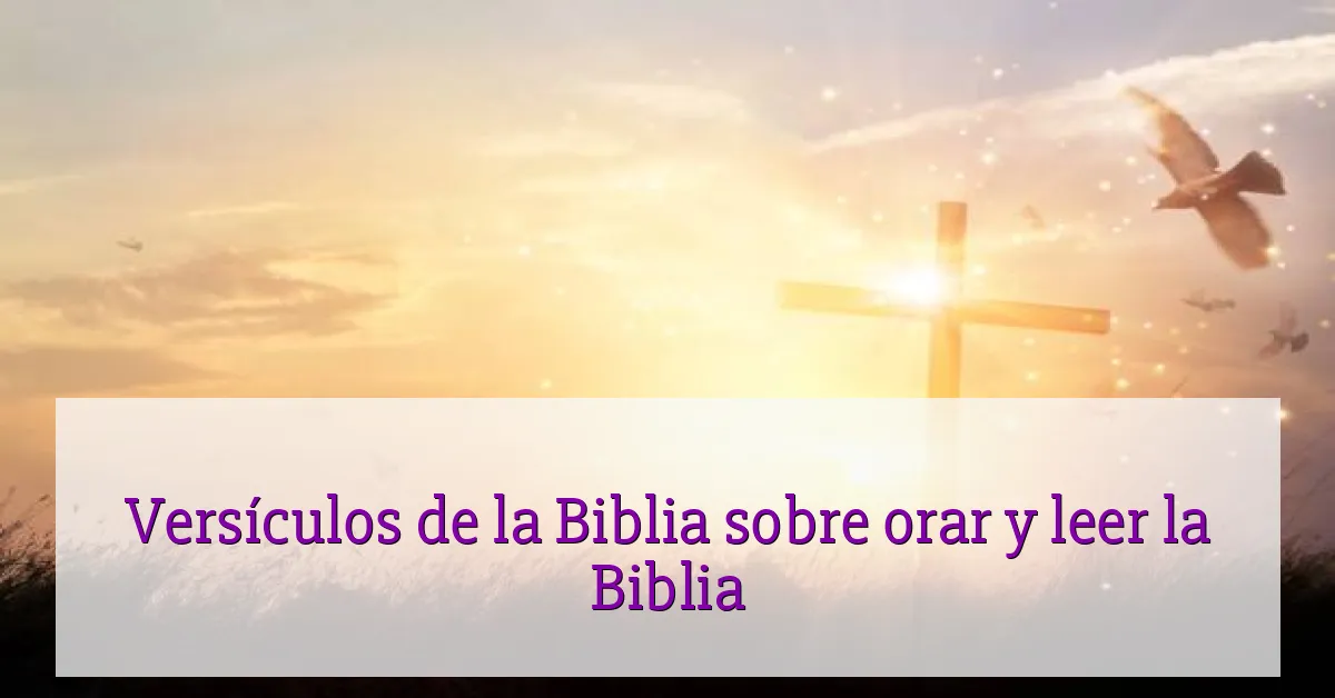 Versículos de la Biblia sobre orar y leer la Biblia