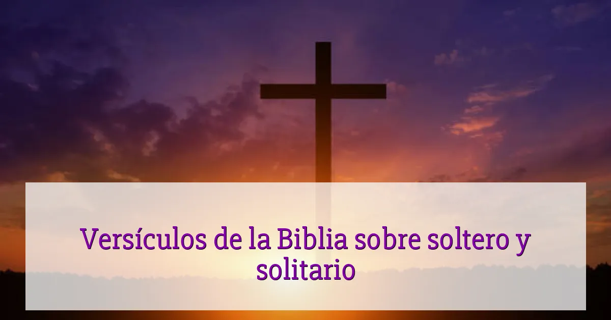 Versículos de la Biblia sobre soltero y solitario