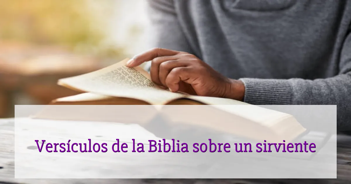 Versículos de la Biblia sobre un sirviente