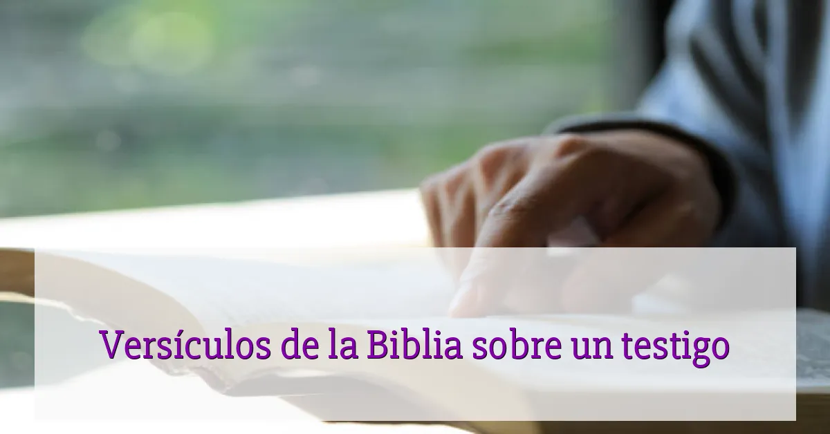 Versículos de la Biblia sobre un testigo