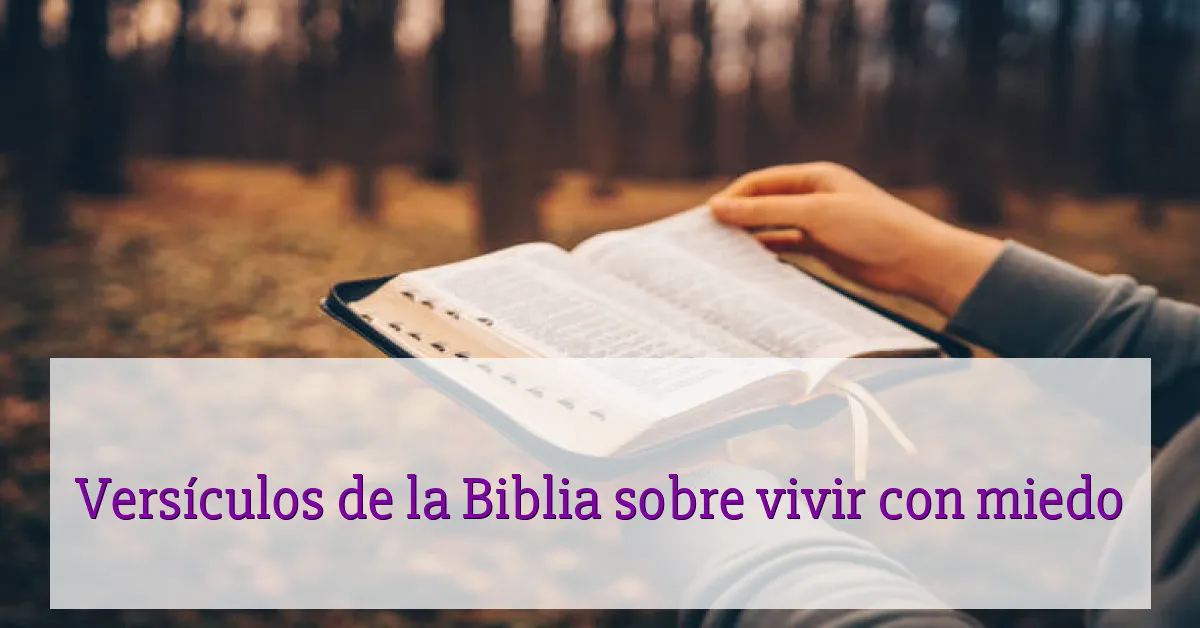 Versículos de la Biblia sobre vivir con miedo