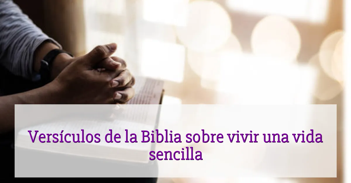 Versículos de la Biblia sobre vivir una vida sencilla